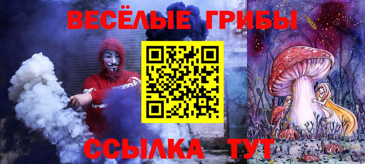 Галлюциногенные грибы прущие грибы Славянск-на-Кубани