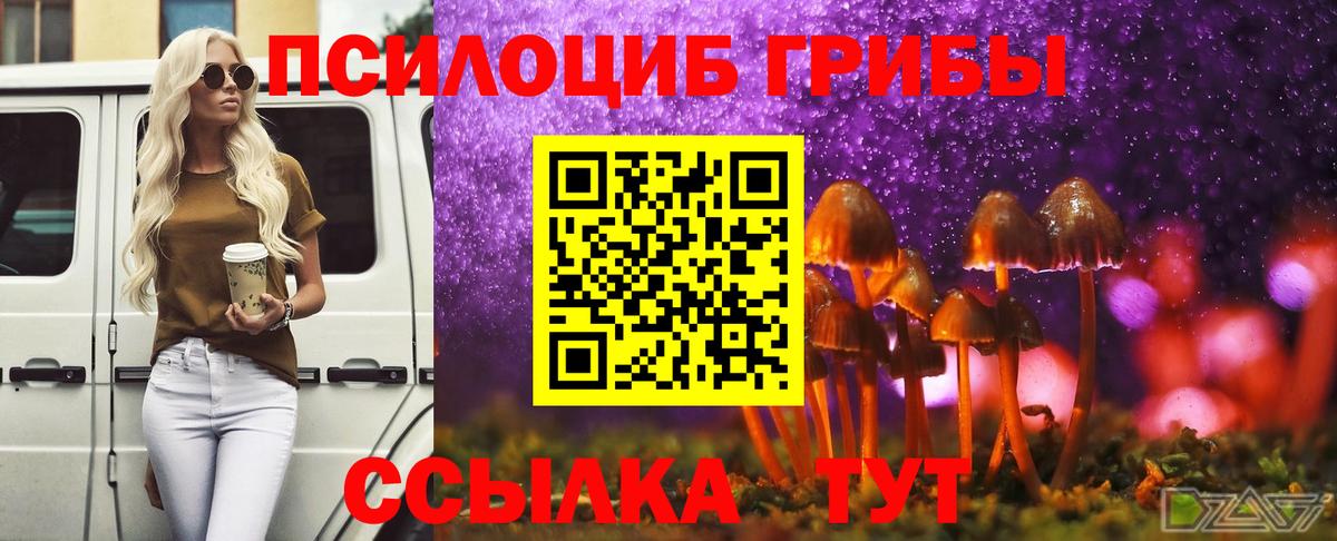 Славянск-на-Кубани  Галлюциногенные грибы Magic Shrooms  Вход с VPN  Галлюциногенные грибы мухоморы 